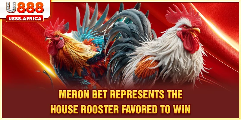 Meron bet represents the house rooster favored to win