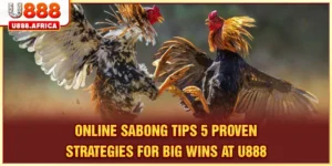 Online Sabong Tips