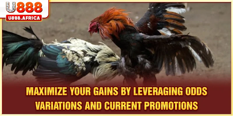 Take advantage of odds differences and available promotions