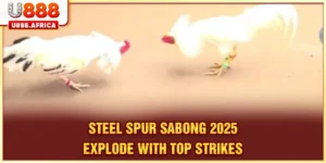 Steel-Spur Sabong